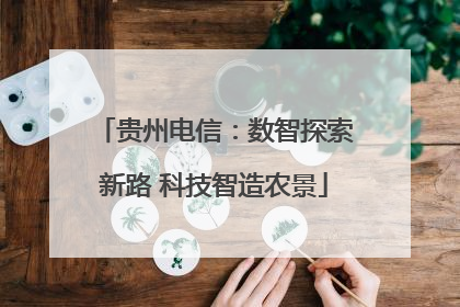 贵州电信：数智探索新路 科技智造农景