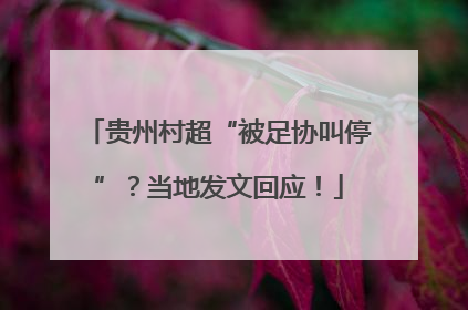 贵州村超“被足协叫停”？当地发文回应！
