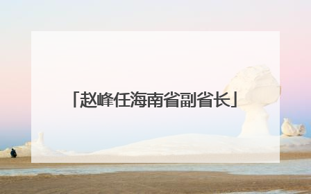 赵峰任海南省副省长