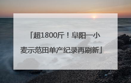 超1800斤！阜阳一小麦示范田单产纪录再刷新