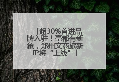超30%首进品牌入驻！亳都有新象，郑州文商旅新IP将“上线”