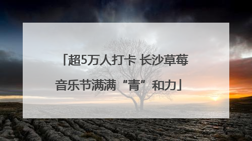 超5万人打卡 长沙草莓音乐节满满“青”和力