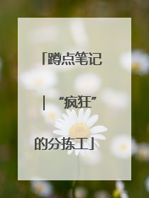 蹲点笔记｜“疯狂”的分拣工