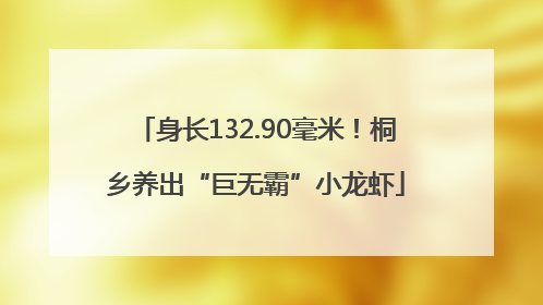 身长132.90毫米！桐乡养出“巨无霸”小龙虾