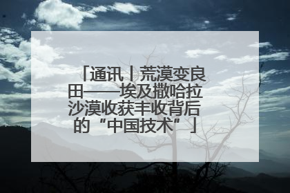 通讯丨荒漠变良田——埃及撒哈拉沙漠收获丰收背后的“中国技术”