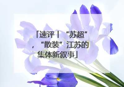 速评丨“苏超”，“散装”江苏的集体新叙事