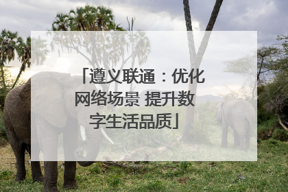 遵义联通：优化网络场景 提升数字生活品质