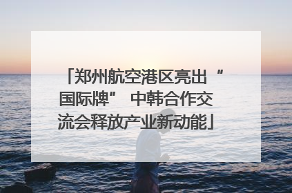 郑州航空港区亮出“国际牌” 中韩合作交流会释放产业新动能