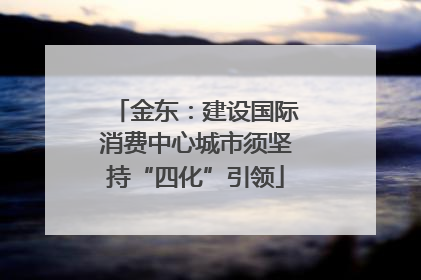 金东：建设国际消费中心城市须坚持“四化”引领