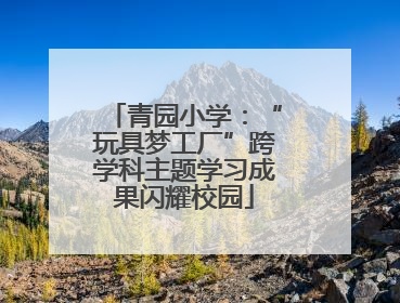 青园小学：“玩具梦工厂”跨学科主题学习成果闪耀校园