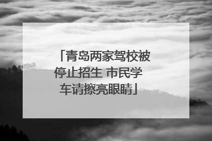 青岛两家驾校被停止招生 市民学车请擦亮眼睛