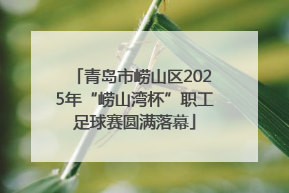 青岛市崂山区2025年“崂山湾杯”职工足球赛圆满落幕