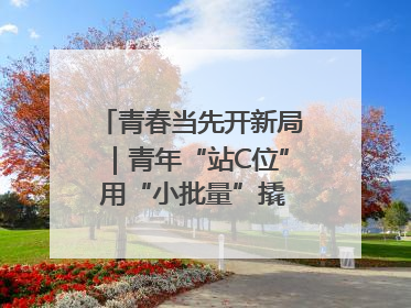 青春当先开新局｜青年“站C位” 用“小批量”撬动产业大变革