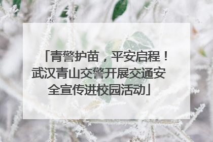 青警护苗，平安启程！武汉青山交警开展交通安全宣传进校园活动