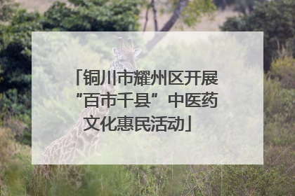 铜川市耀州区开展“百市千县”中医药文化惠民活动
