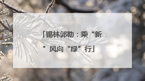 锡林郭勒：乘“新”风向“绿”行