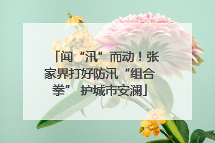 闻“汛”而动！张家界打好防汛“组合拳” 护城市安澜