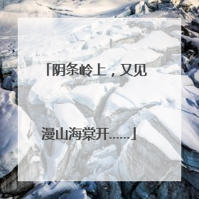 阴条岭上，又见漫山海棠开……