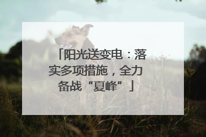 阳光送变电：落实多项措施，全力备战“夏峰”