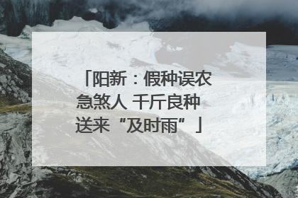 阳新：假种误农急煞人 千斤良种送来“及时雨”