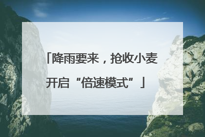 降雨要来，抢收小麦开启“倍速模式”