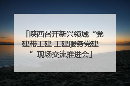 陕西召开新兴领域“党建带工建 工建服务党建”现场交流推进会