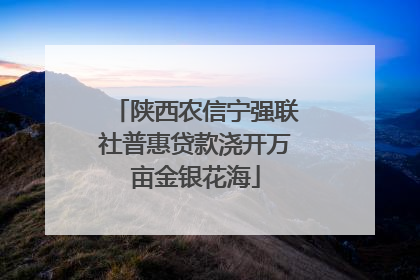 陕西农信宁强联社普惠贷款浇开万亩金银花海