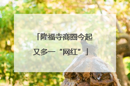 隆福寺商圈今起又多一“网红”