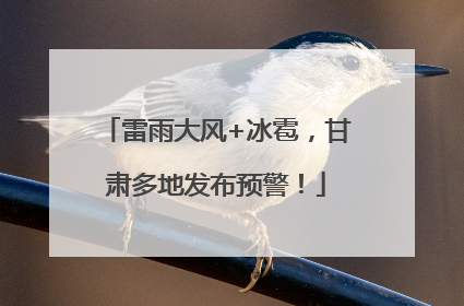 雷雨大风+冰雹，甘肃多地发布预警！