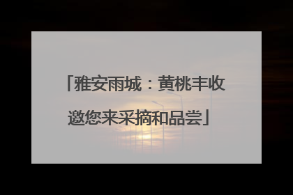 雅安雨城：黄桃丰收 邀您来采摘和品尝