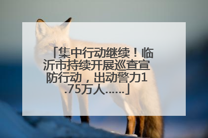 集中行动继续！临沂市持续开展巡查宣防行动，出动警力1.75万人……