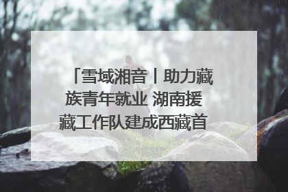 雪域湘音丨助力藏族青年就业 湖南援藏工作队建成西藏首个清洁能源装备园