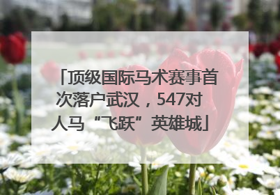 顶级国际马术赛事首次落户武汉，547对人马“飞跃”英雄城