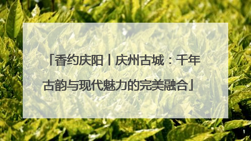 香约庆阳丨庆州古城：千年古韵与现代魅力的完美融合