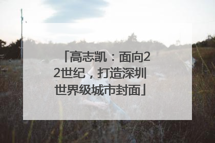 高志凯：面向22世纪，打造深圳世界级城市封面