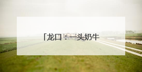 龙口：一头奶牛的“智慧生活”