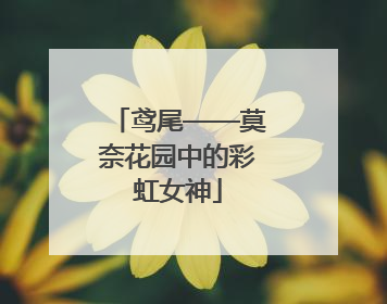 鸢尾——莫奈花园中的彩虹女神