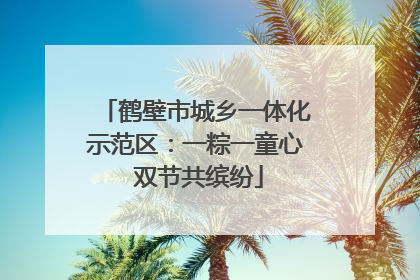 鹤壁市城乡一体化示范区：一粽一童心 双节共缤纷