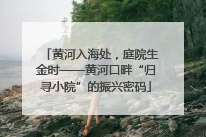 黄河入海处，庭院生金时——黄河口畔“归寻小院”的振兴密码