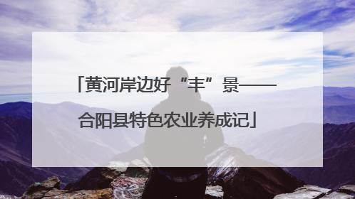 黄河岸边好“丰”景——合阳县特色农业养成记