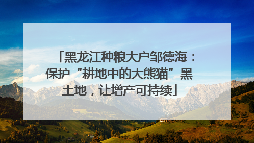 黑龙江种粮大户邹德海：保护“耕地中的大熊猫”黑土地，让增产可持续