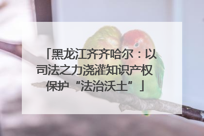 黑龙江齐齐哈尔：以司法之力浇灌知识产权保护“法治沃土”