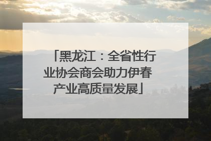 黑龙江：全省性行业协会商会助力伊春产业高质量发展