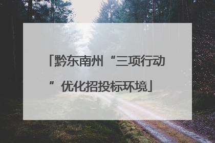 黔东南州“三项行动”优化招投标环境