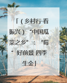 （乡村行·看振兴）“中国瓜菜之乡”：“莓”好前景 四季生金