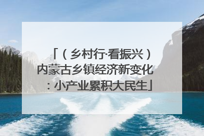 （乡村行·看振兴）内蒙古乡镇经济新变化：小产业累积大民生