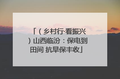 （乡村行·看振兴）山西临汾：保电到田间 抗旱保丰收