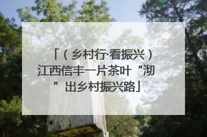 （乡村行·看振兴）江西信丰一片茶叶“沏”出乡村振兴路