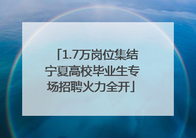 1.7万岗位集结 宁夏高校毕业生专场招聘火力全开