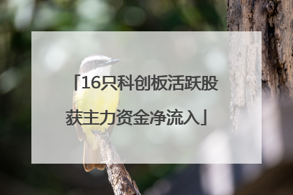 16只科创板活跃股获主力资金净流入